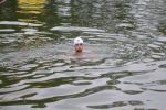 2011_margonin_078.jpg