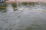 2011_margonin_049.jpg