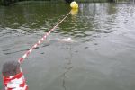 2011_margonin_050.jpg