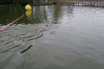 2011_margonin_070.jpg