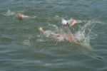 2009_margonin_099.jpg