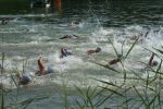2009_margonin_044.jpg